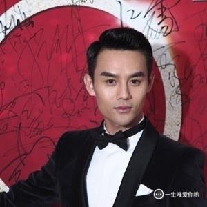 王凯的 个人资料,影视界璀璨星辰,多面才华的影视演员