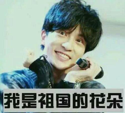 薛之谦世界和平表情包,幽默中传递正能量