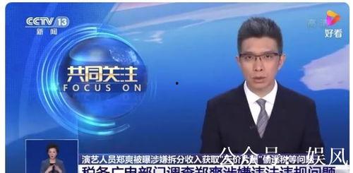 政府会整顿娱乐圈吗,政府重拳出击,行业洗牌在即