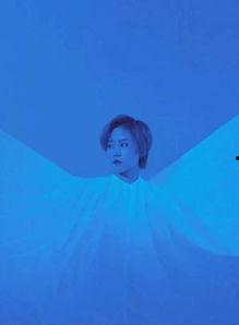 窦唯念白 新浪娱乐,揭秘音乐传奇背后的故事